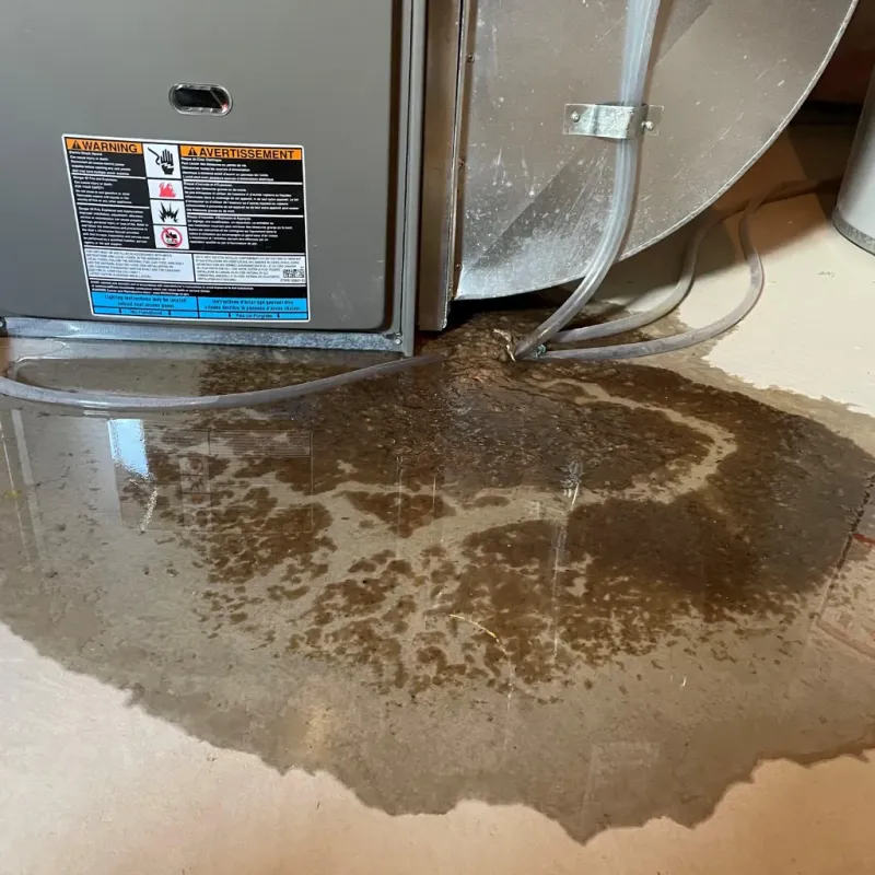 Appliance Leak Cleanup in Farmland, IN